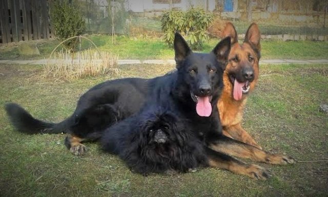 Ilo od Svatováclava